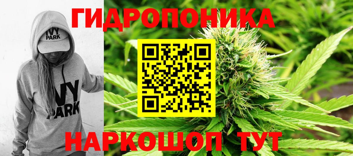 Бошки Шишки индика Кушва